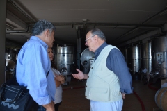 Visita in una rinomata azienda produttrice di vino. Bologna 2019