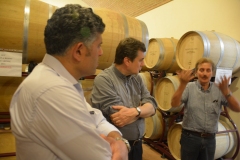 Visita a un'azienda agricola, produttrice di vino