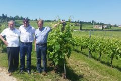 Visita presso un'azienda agricola