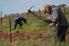 Lavoro nei campi in primavera