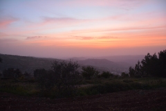 Tramonto in fattoria